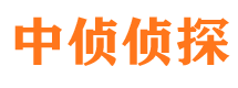 田家庵捉小三公司